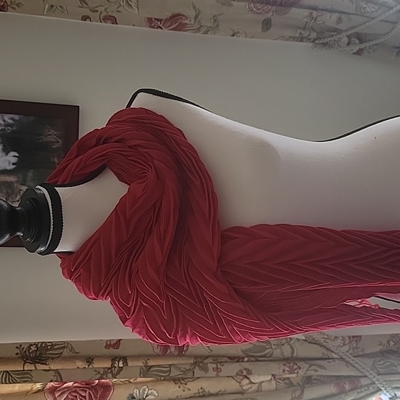 NWT Red Scarf - Picture 4 of 4